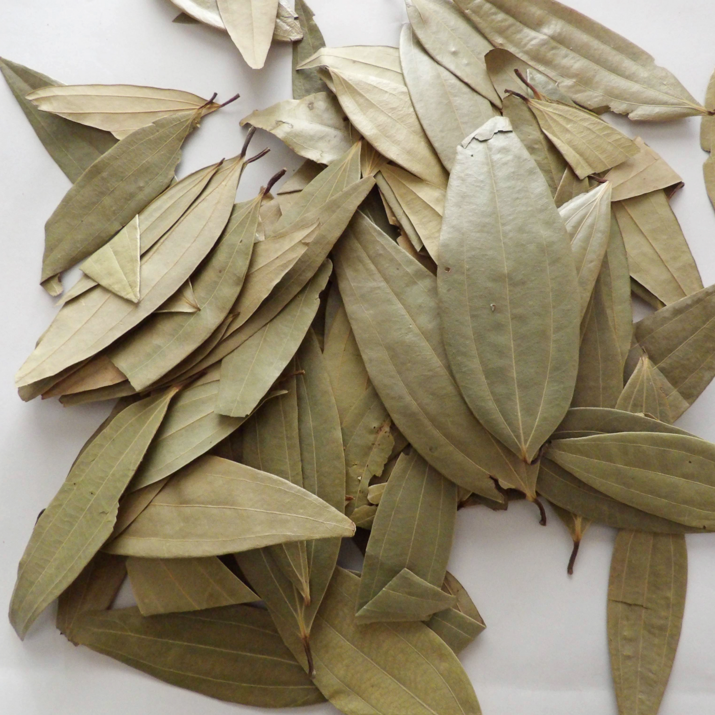 Bay Leaves, 50 g, ₹ 45.00