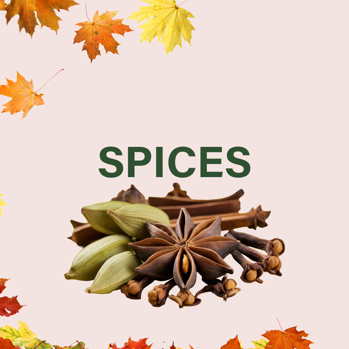 Dowbox Gluten-Free Spices & Masalas